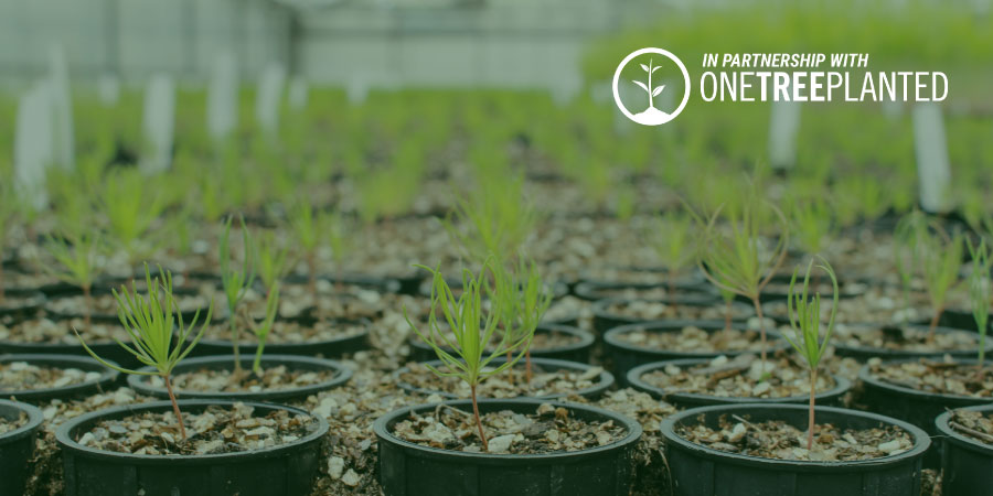 OneTree Planted Banner